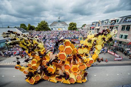 Bloemencorso-MalouEvers-7