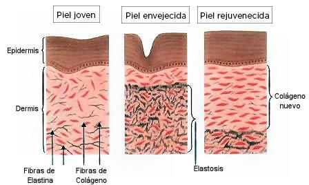 A qué edad empezar a usar COLÁGENO en nuestra rutina facial??