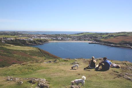 Este otoño que viene... Este otoño que viene...