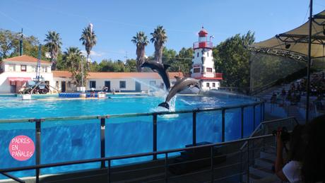 viajar-portugal-ninos-autocaravana-zoo