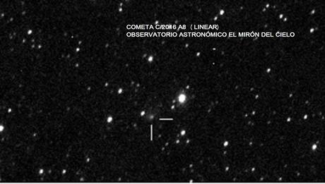 COMETA C/2016 A8 LINEAR