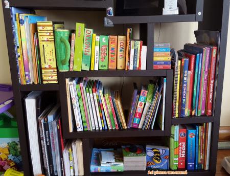 16 Ideas (y más) para Jugar en Casa biblio-libros-lecturas