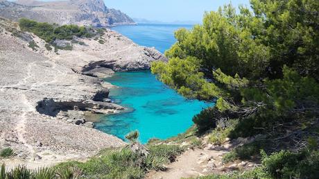 Andar y nadar, un chute de energía positiva. Ruta Cala Torta - Aubarca