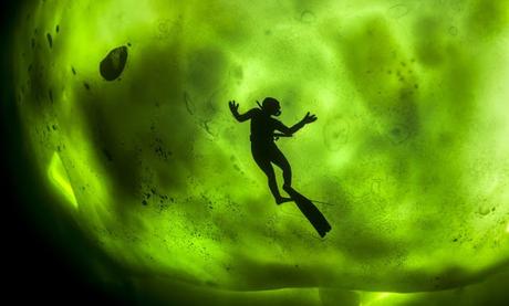 Asombrosas fotografías de la aurora boreal desde debajo del hielo