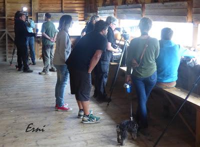 ASÍ ME FUE EN EL X FESTIVAL DE LA MIGRACIÓN DE LAS AVES