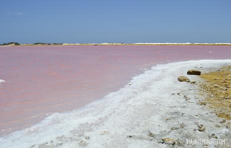 Las salinas de las Cumaraguas