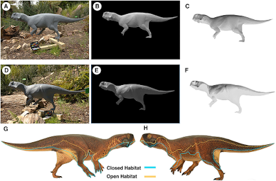 ¿Qué tanto alboroto con Psittacosaurus?