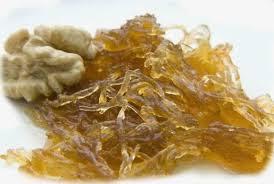 El zapallo El zapallo