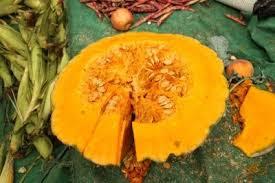 El zapallo El zapallo