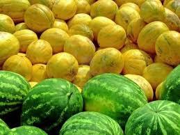 El zapallo El zapallo