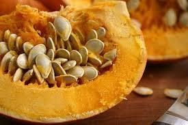 El zapallo El zapallo