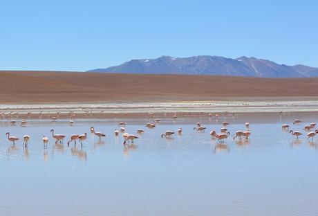 Salar de Uyuni, un paisaje extraterrestre