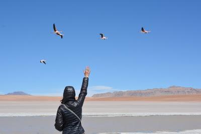 Salar de Uyuni, un paisaje extraterrestre