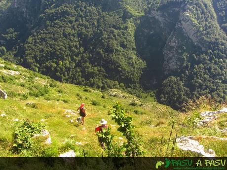 Bajando del Camperón por la ladera