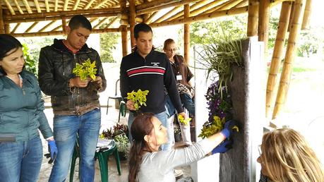 Curso en Argentina de jardines verticales
