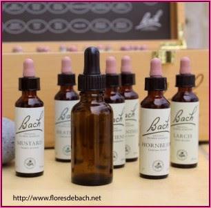 Qué flores de Bach tomar Qué flores de Bach tomar