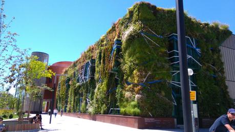 Evolución del jardín vertical de Vitoria-Gasteiz. Jardines que se autorregeneran. Jardín vertical Vitoria