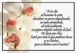 Con palabra de mujer... Con palabra de mujer...