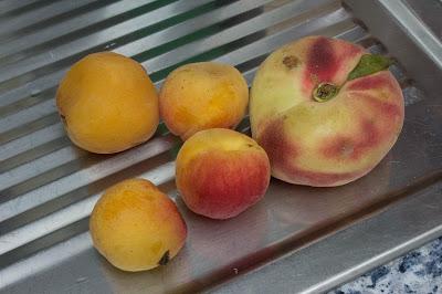 Smoothie light de frutas veraniegas en Thermomix Smoothie light de frutas veraniegas en Thermomix