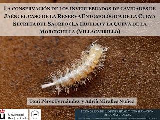 El G.E.V. representando a la Espeleología, a Jaén y a Villacarrillo El G.E.V. representando a la Espeleología, a Jaén y a Villacarrillo