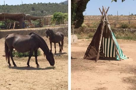 Escapada a la Finca Temps de Terra en Amposta temps de terra amposta