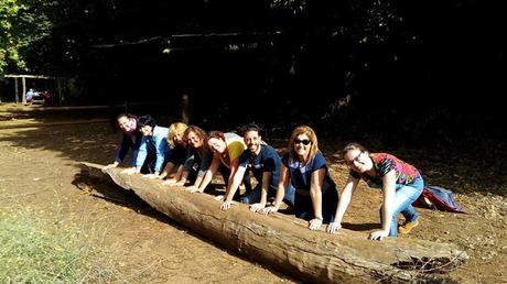 Tarta de Chocolate con crema Gofio y Gofio frito Tarta de Chocolate con crema Gofio y Gofio frito
