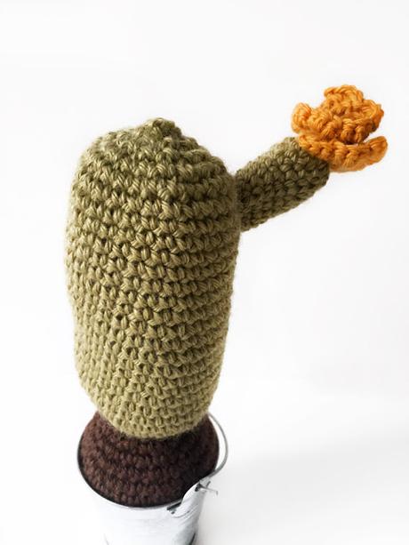 Cactus amigurumi Cactus amigurumi
