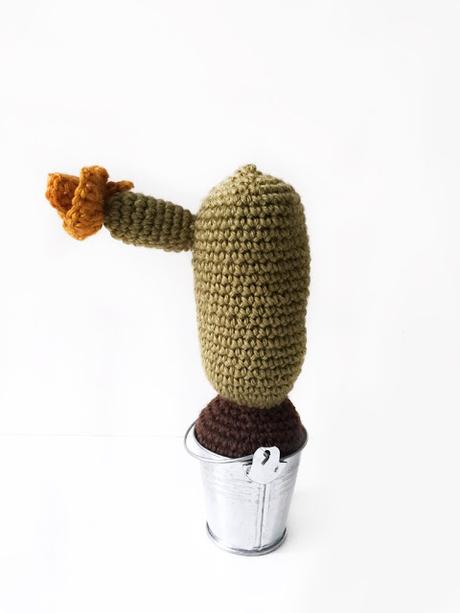 Cactus amigurumi Cactus amigurumi