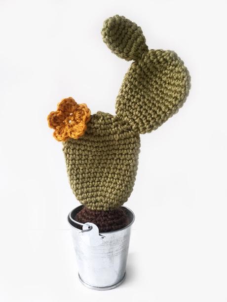 Cactus amigurumi Cactus amigurumi