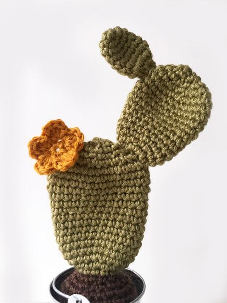 Cactus amigurumi Cactus amigurumi