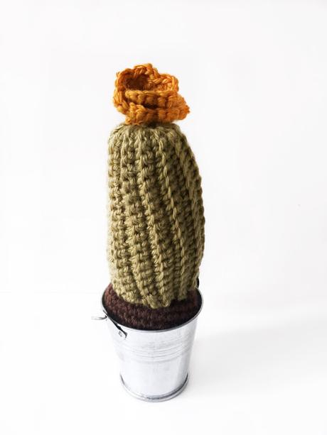 Cactus amigurumi Cactus amigurumi