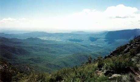 Las rosadas babosas gigantes del Monte Kaputar