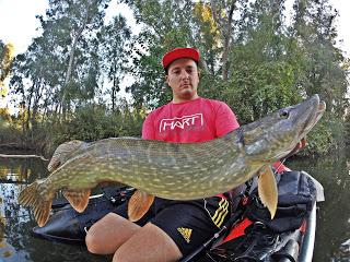 A por lucios A por lucios