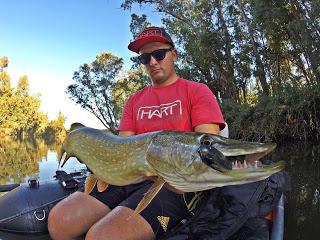 A por lucios A por lucios