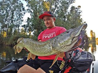 A por lucios A por lucios