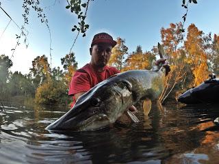 A por lucios A por lucios
