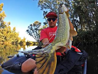 A por lucios A por lucios