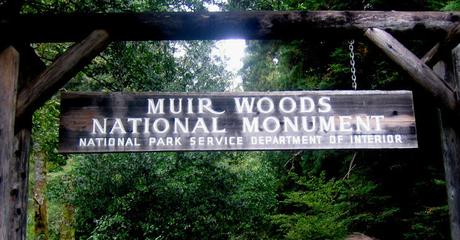 Muir Woods