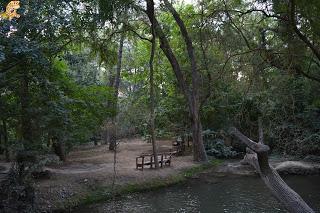 Qué ver en el Monasterio de Piedra