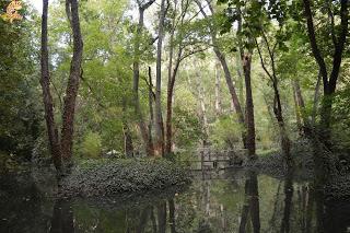 Qué ver en el Monasterio de Piedra