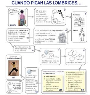 Lombrices intestinales, nuestro nuevo quebradero de cabeza