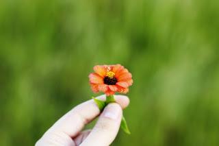 Paso a paso Paso a paso