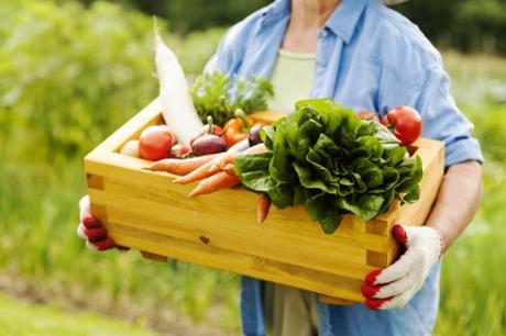 Cifras históricas del consumo ecológico en Francia