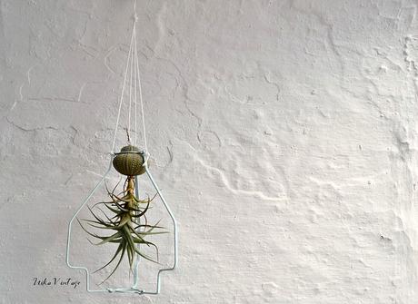 DIY - SOPORTE PARA TILLANDSIA