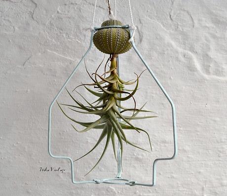 DIY - SOPORTE PARA TILLANDSIA