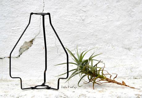 DIY - SOPORTE PARA TILLANDSIA