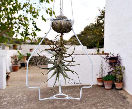 DIY - SOPORTE PARA TILLANDSIA