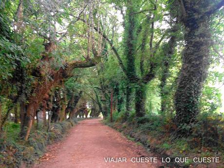 DE SARRIA A PORTOMARÍN EL CAMINO A SANTIAGO (DÍA DOS)