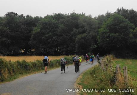 DE SARRIA A PORTOMARÍN EL CAMINO A SANTIAGO (DÍA DOS)