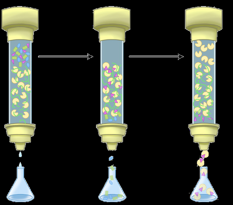 Técnicas de estudio en Bioquímica